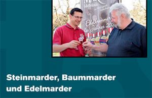 Steinmarder, Baummarder und Edelmarder